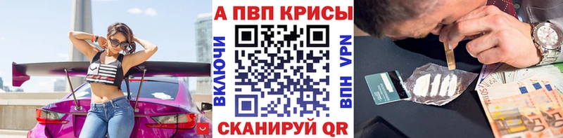Купить где Губкинский Альфа ПВП крисы CK